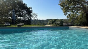 Ein klares Schwimmbecken mit Blick auf eine grüne Landschaft und Bäume.