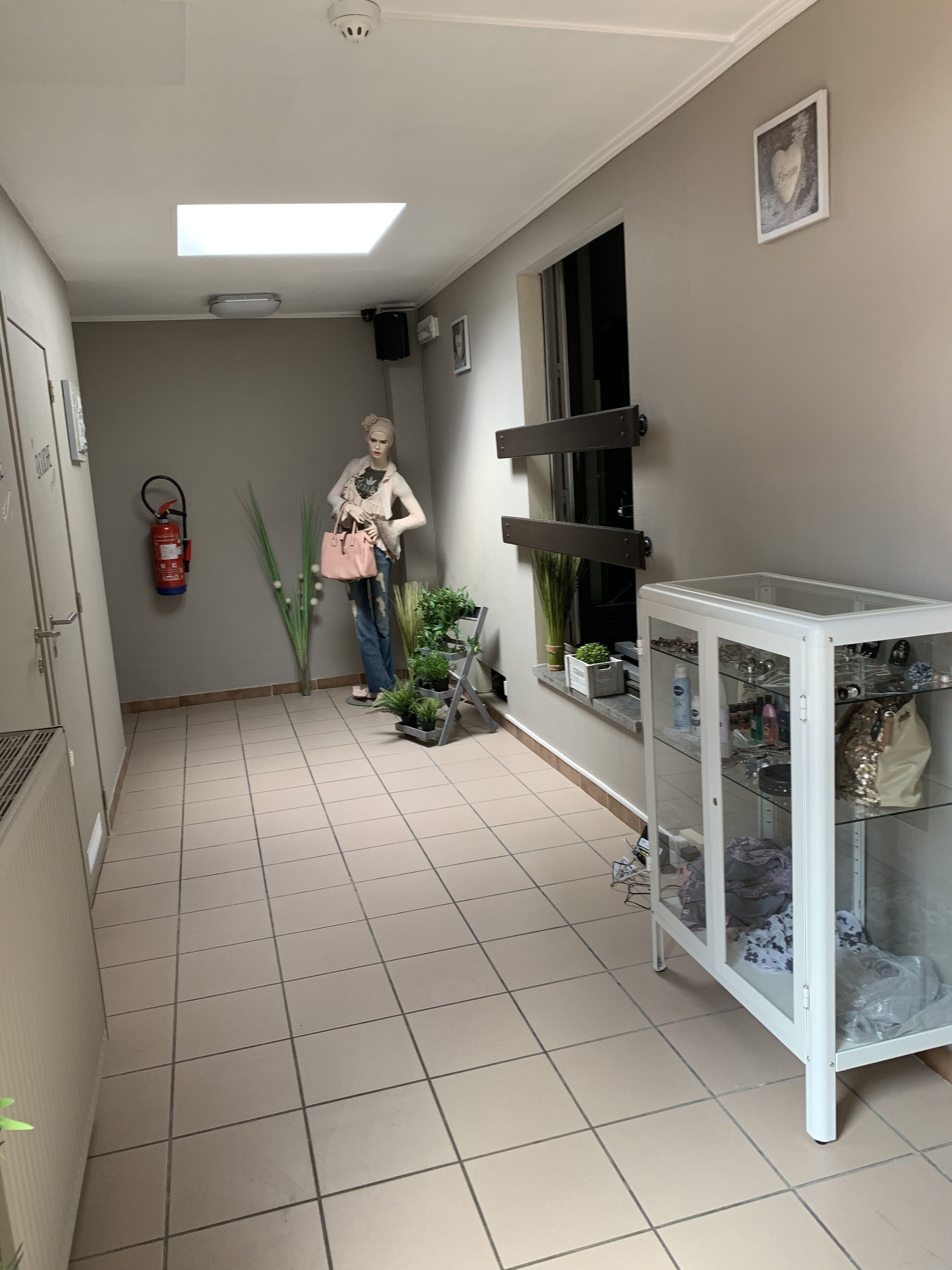A hallway with a tiled floor, a fire extinguisher, a potted plant, a white cabinet with glass doors, and a framed picture on the wall.