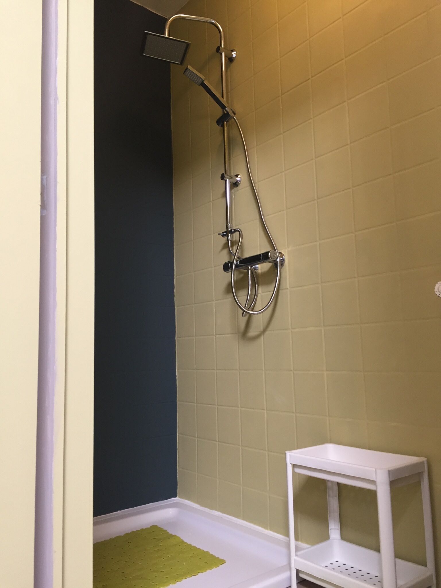 Une salle de bain avec une douche, une petite étagère blanche et un tapis vert.