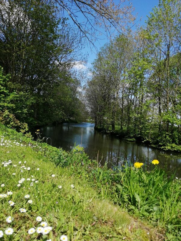 Unclassified image, 1 of 44, button