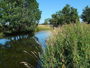 Unclassified image, 2 of 44, button