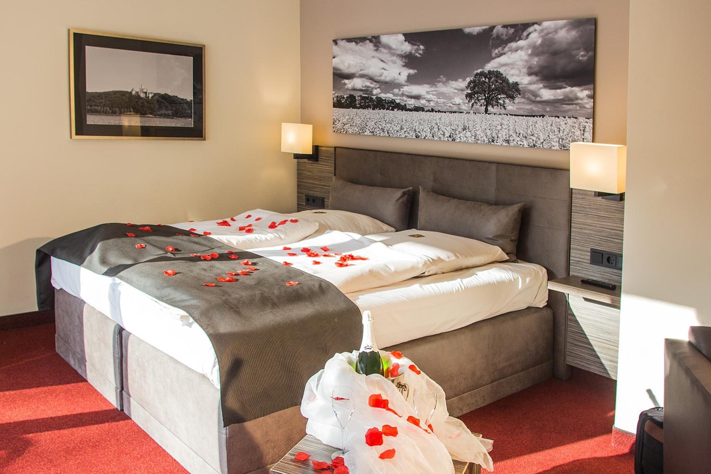 1 bedroom, hypo-allergenic bedding, desk, blackout curtains