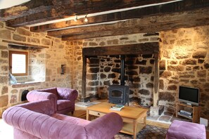 TV connectée, cheminée, table de tennis de table, livres