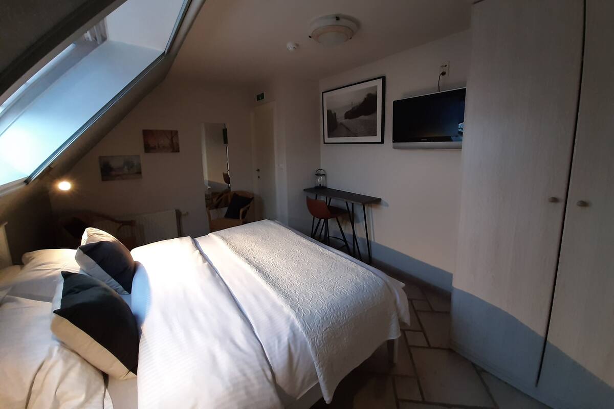 Une chambre à coucher avec un lit, un bureau et une armoire.
