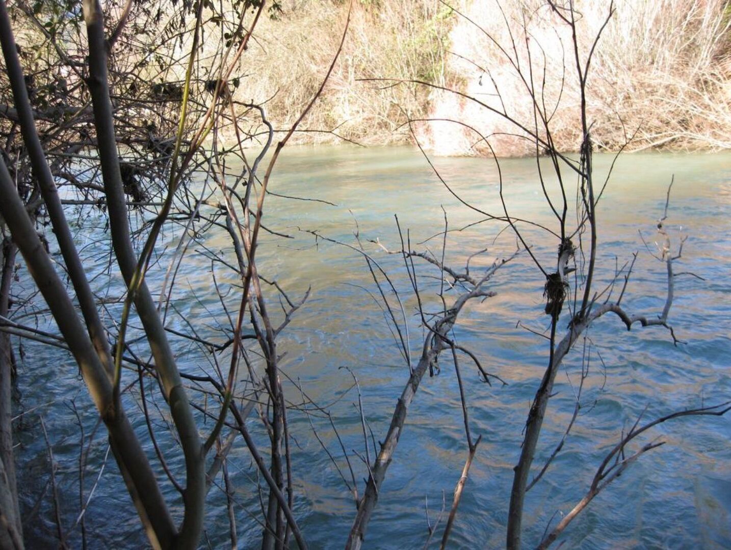 A river with bare branches in the foreground.