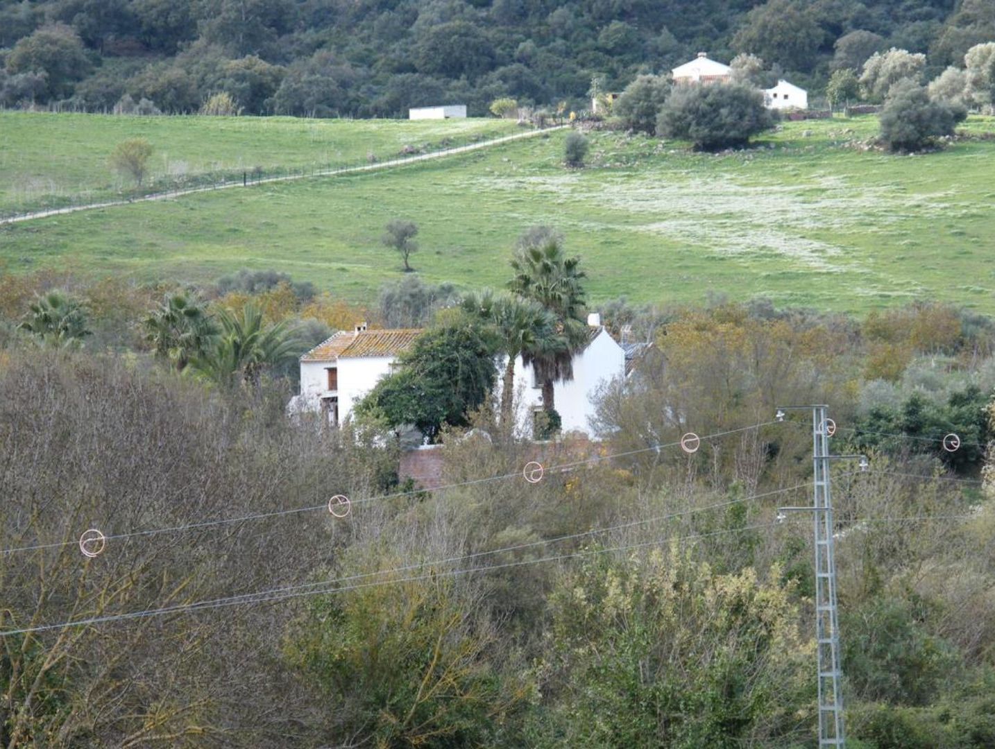 Paisaje rural con una casa blanca rodeada de follaje y una línea eléctrica en primer plano.