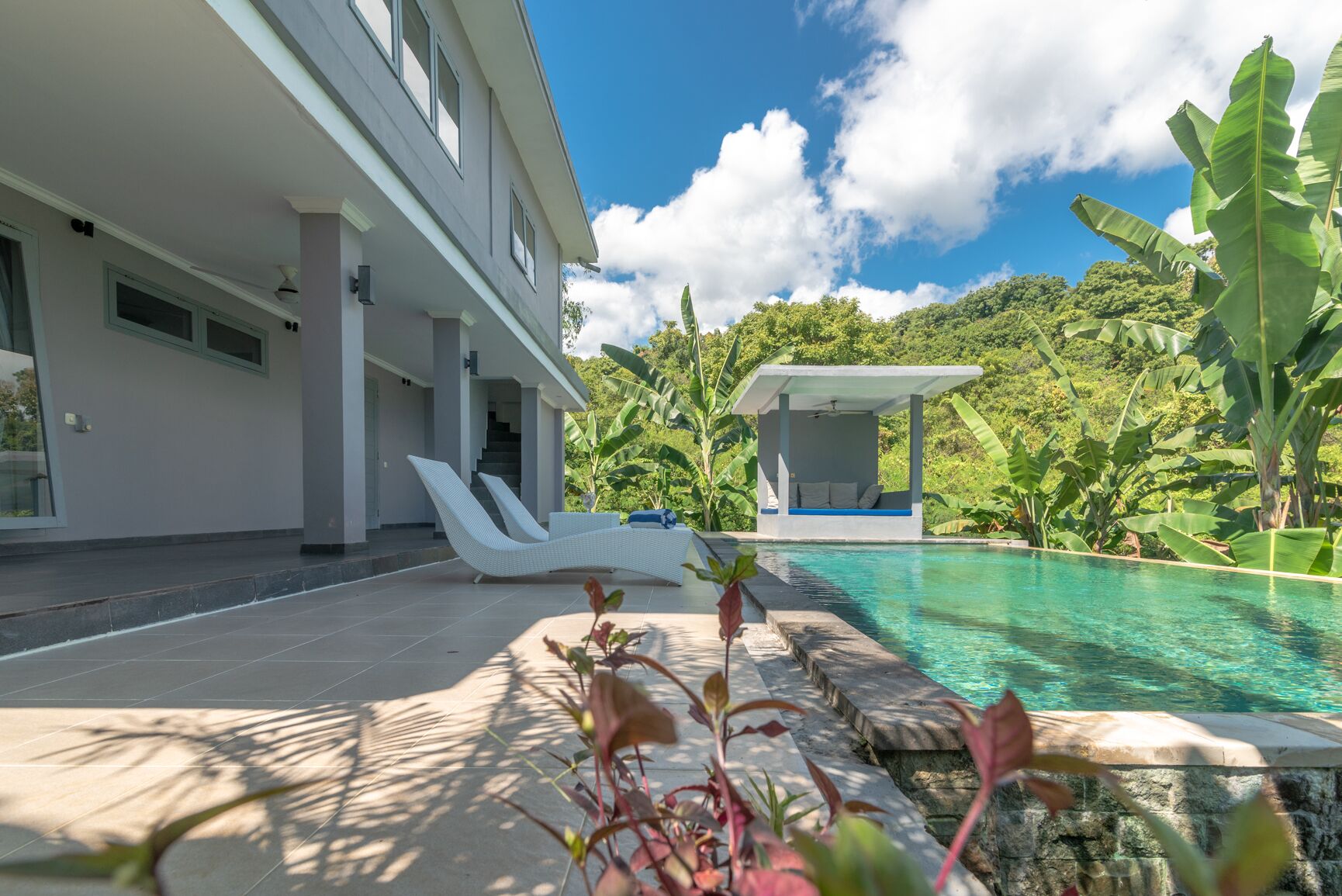 A modern house with a swimming pool, a covered seating area, and lush greenery.