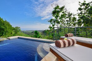 Private pool - Villa Kapal (Sukasada)