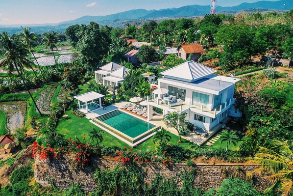 A modern two-story house with a swimming pool, surrounded by lush greenery and palm trees.