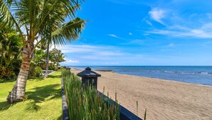 Ein Strand mit einer Palme, einem Weg und Blick auf den Ozean.
