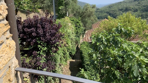 Un balcón con muro de piedra, baranda metálica y vistas a un viñedo con follaje verde y morado.