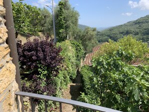 Un balcón con muro de piedra, baranda metálica y vistas a un viñedo con follaje verde y morado.