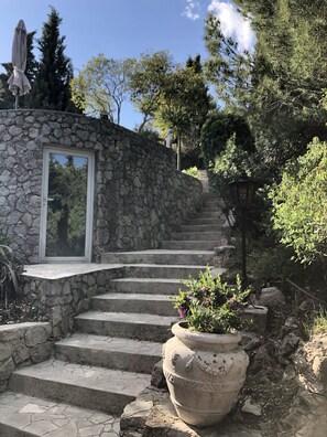 A stone staircase leading to a door with a glass panel, surrounded by greenery and a stone wall.