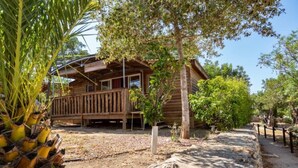 A wooden cabin with a balcony, surrounded by trees and a gravel path. - --- Wood Mobile Home 1 (Calig/Castellon)
