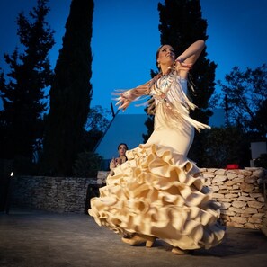 A person in a flowing dress performing a dance. - --- Wood Mobile Home 1 (Calig/Castellon)