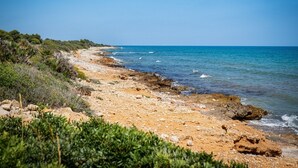 A coastal landscape with a rocky beach, clear blue sky, and sparse vegetation. - --- Wood Mobile Home 1 (Calig/Castellon)