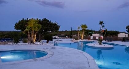 --- Wood Mobil-Home 1