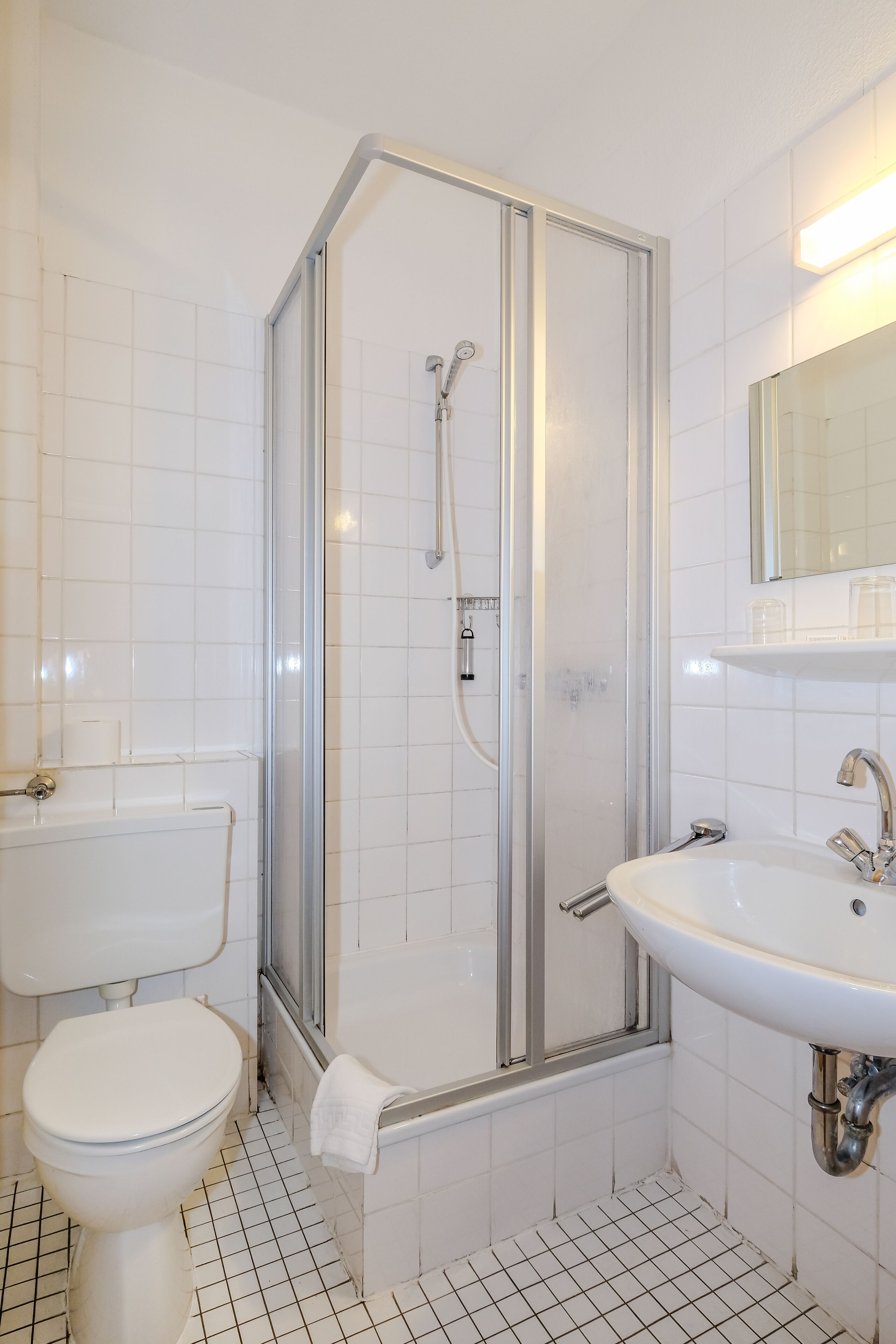 A bathroom with a glass-enclosed shower, a white sink, and a toilet.