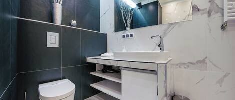 A modern bathroom with a toilet, a sink, and a mirror.