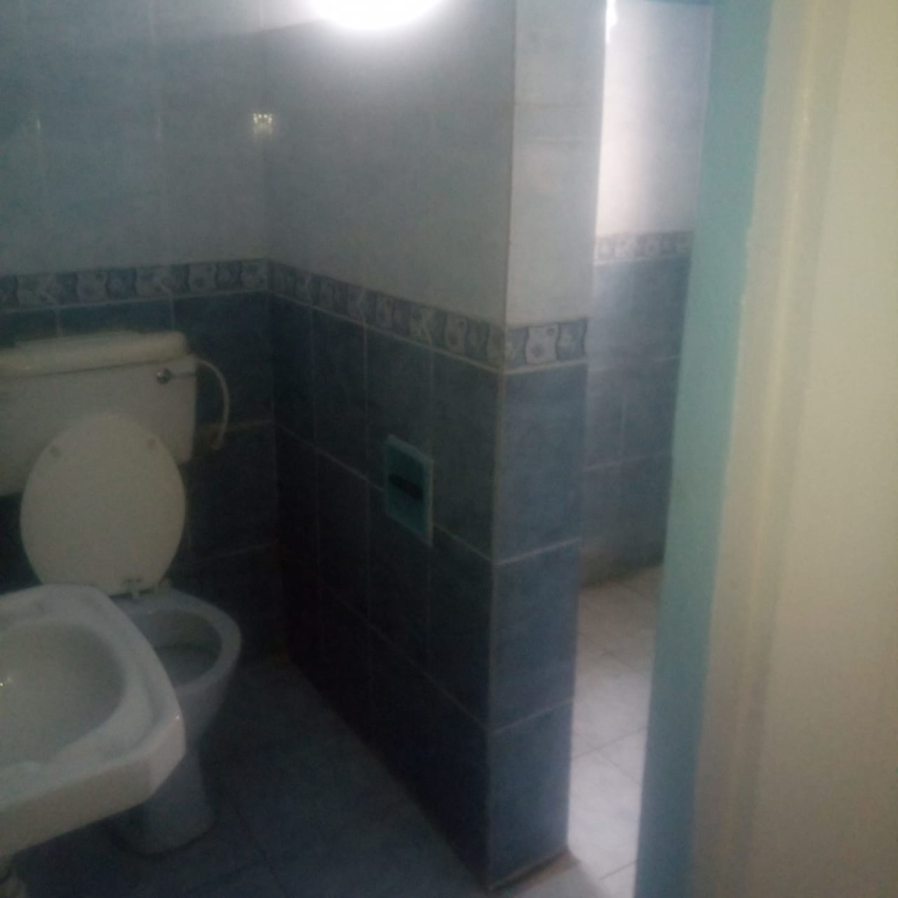 A bathroom with a toilet and bidet, tiled walls, and a visible plumbing fixture.