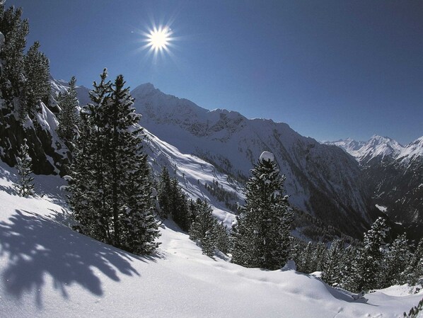 A snow-covered mountain landscape with trees and a clear sky.