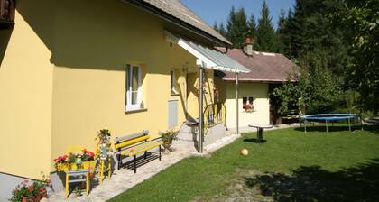 Spacious Holiday Home in Tröpolach near Ski Area