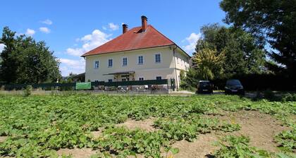 Luxurious Apartment in Klagenfurt With Terrace