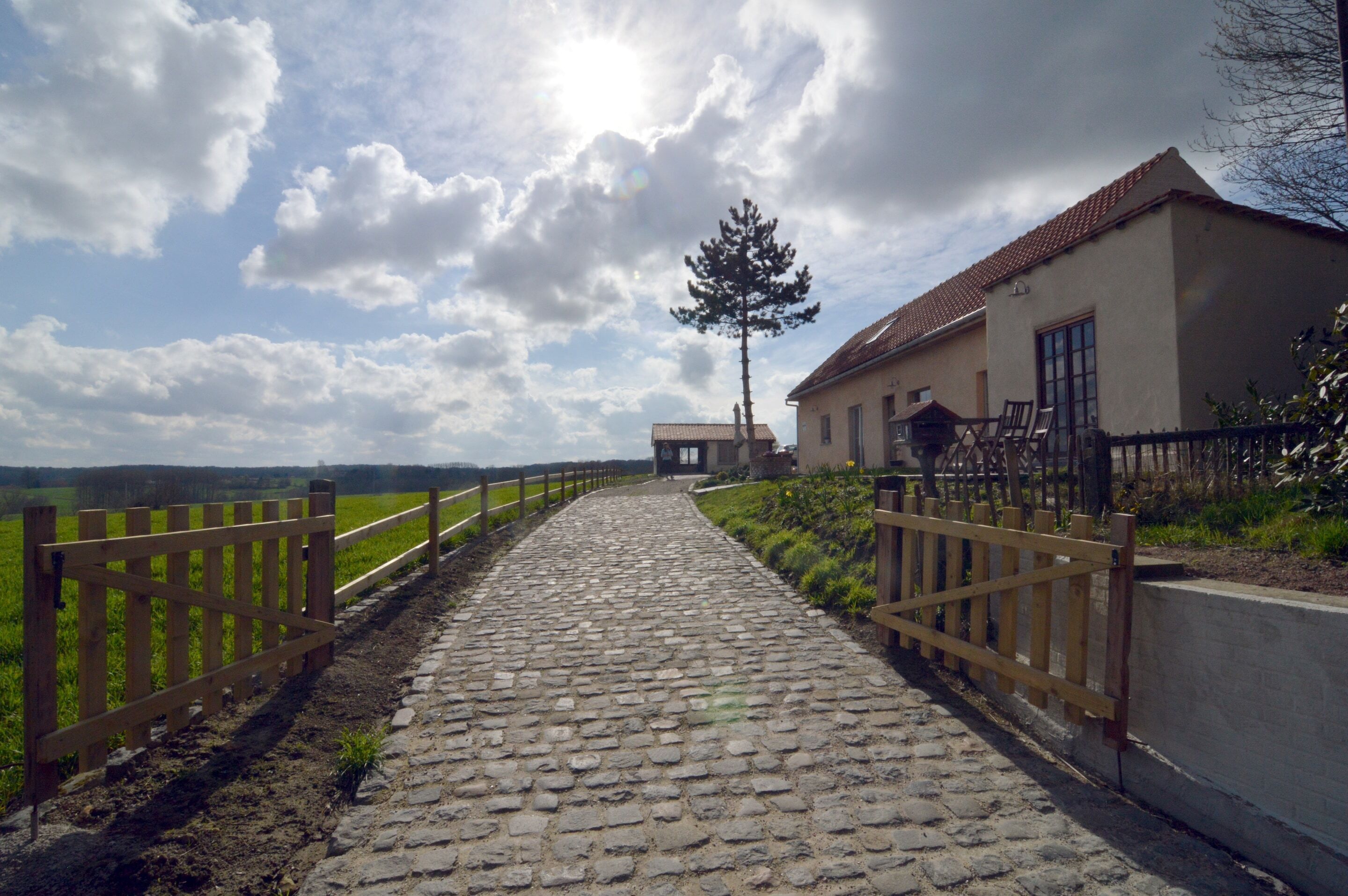 House | Pemandangan dari hartanah