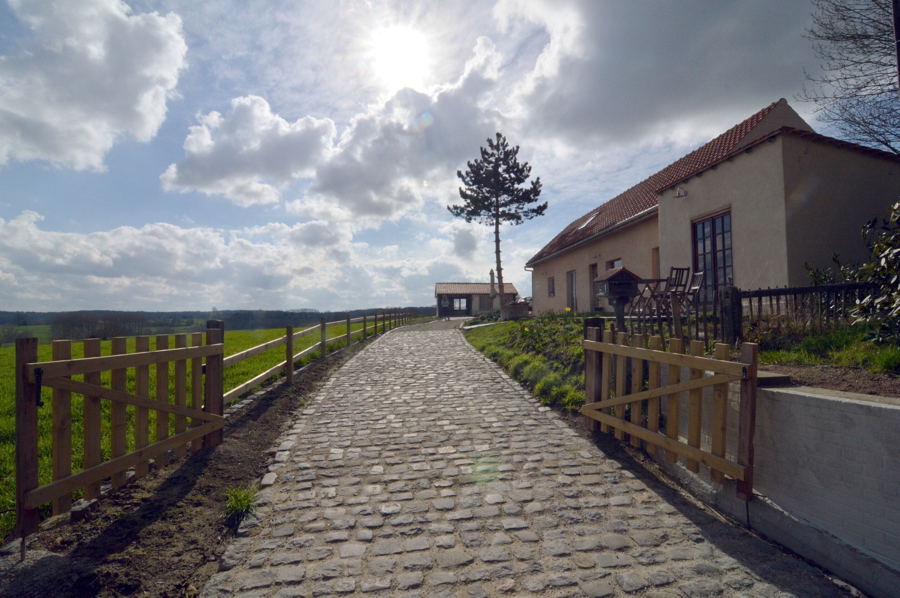 House | Pemandangan dari hartanah