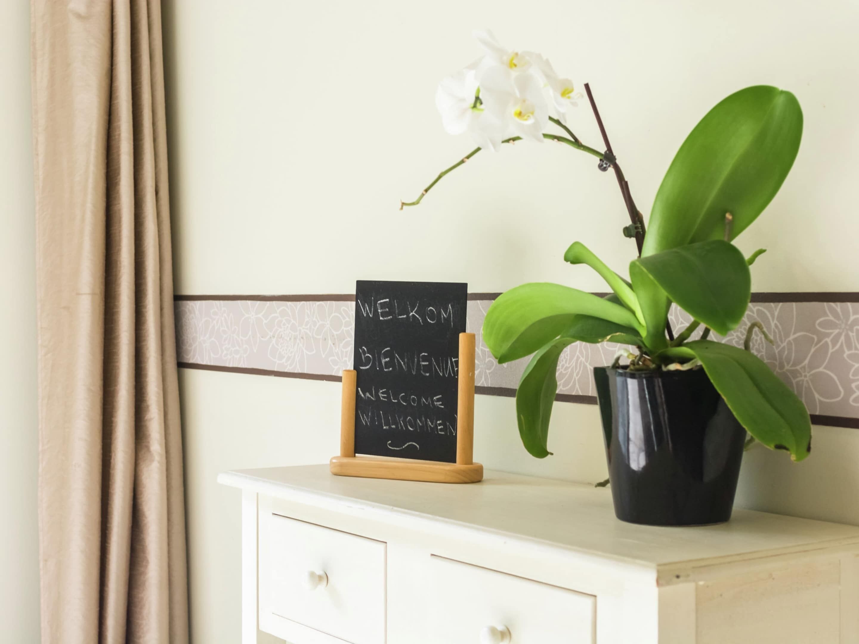Une commode blanche sur laquelle est posé un tableau noir où sont écrits à la craie les mots « WELCOME » et « BIENVENUE », une plante en pot aux grandes feuilles vertes et une orchidée blanche.