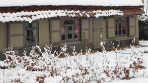 A house with a snow-covered roof and windows, surrounded by snow-covered shrubs.