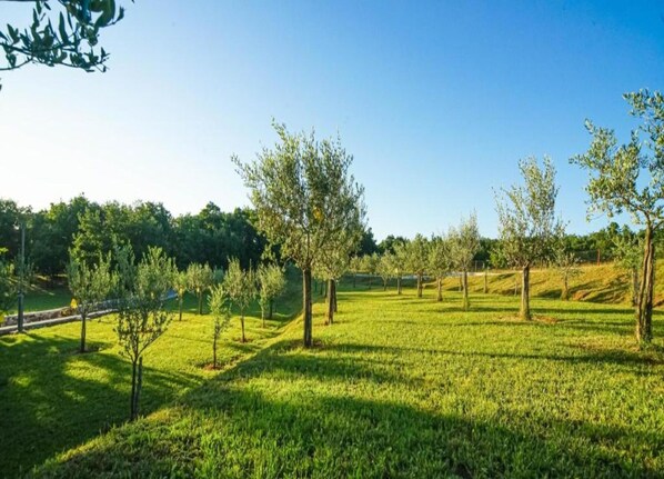 House | View from property - Tranquil Home With BBQ (Poperinge)