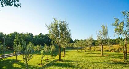 Tranquil Home With BBQ