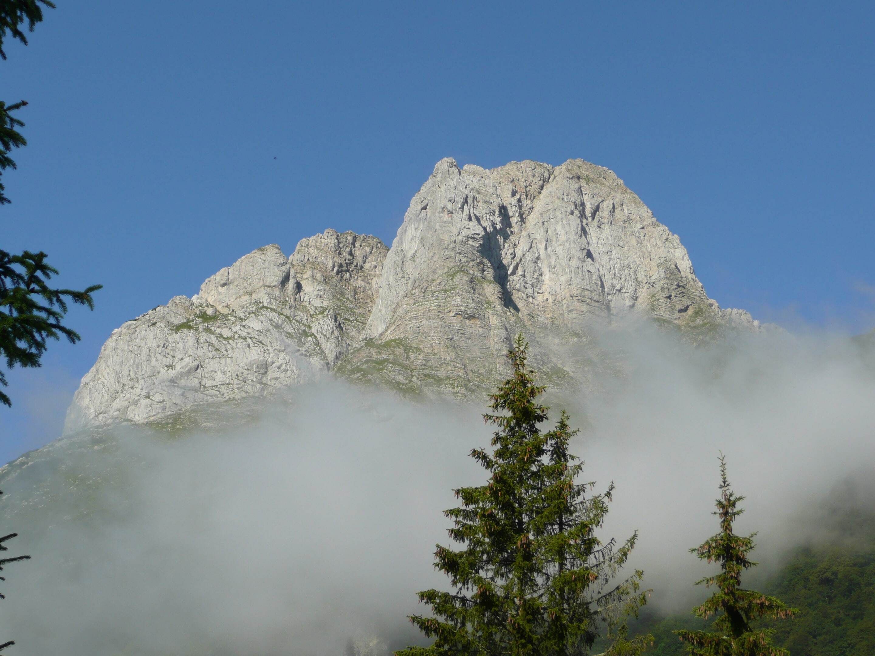 A mountain with a rocky peak, surrounded by trees and fog.