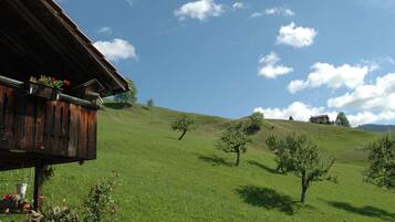 House | View from property