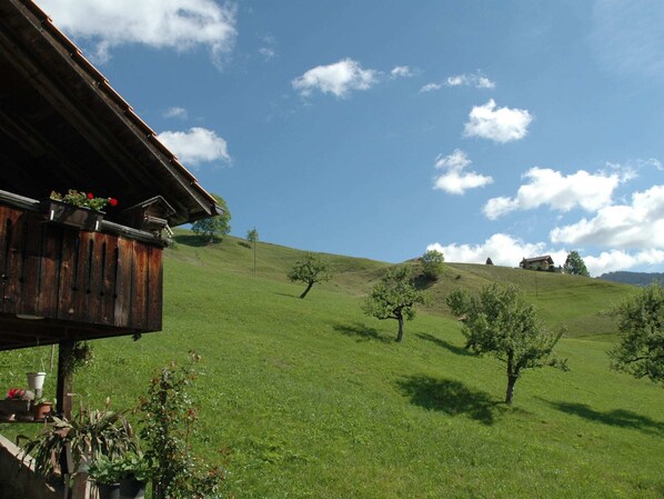 House | View from property