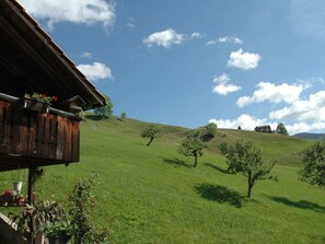Ferienhaus | Blick von der Unterkunft