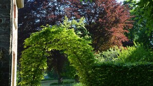 A garden with a curved hedge arching over a pathway, surrounded by trees with autumn foliage. - Charming Castle in Roumont (Bertogne)