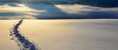 A snow-covered landscape with a sunlit path leading through it.