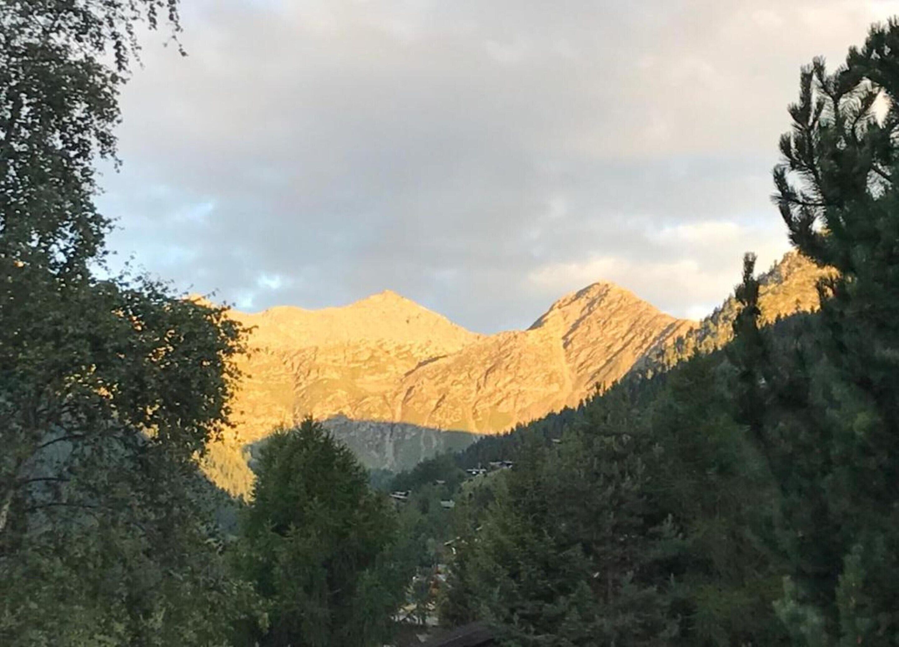 Paisaje montañoso con árboles en primer plano y cielo despejado.