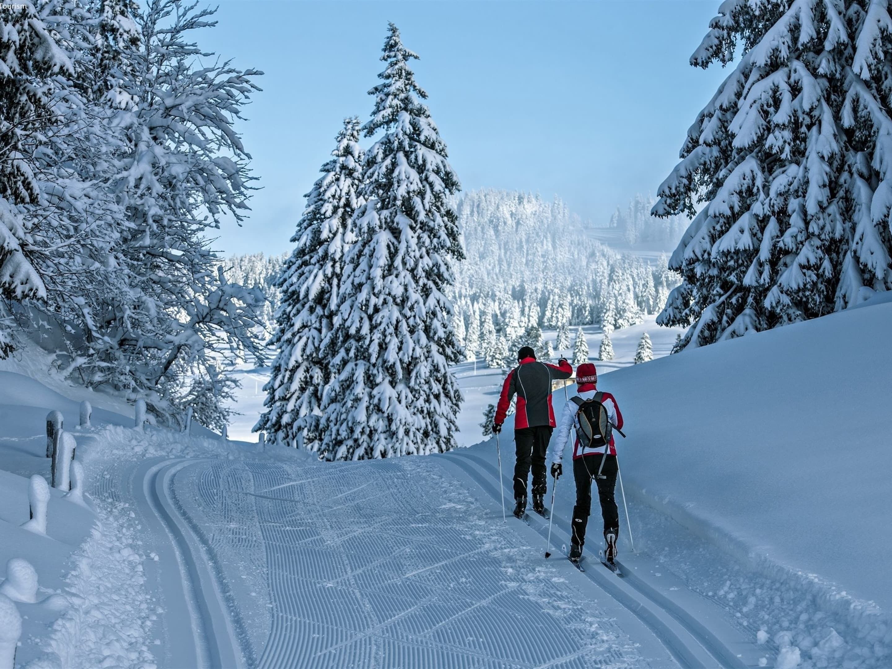 Un paysage enneigé avec un chemin dégagé et des arbres couverts de neige.