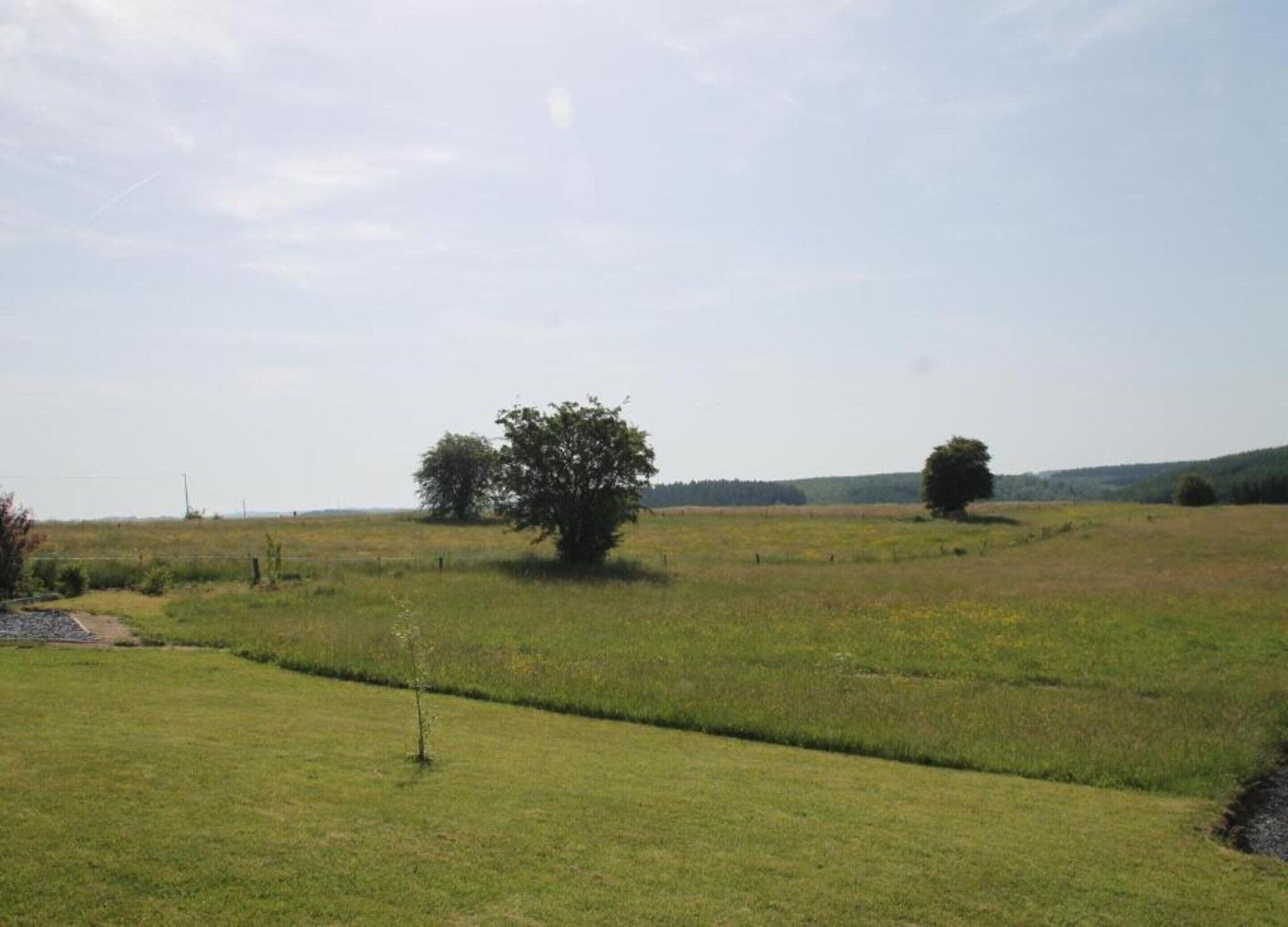 A grassy field with a single tree in the center and a fence in the foreground.