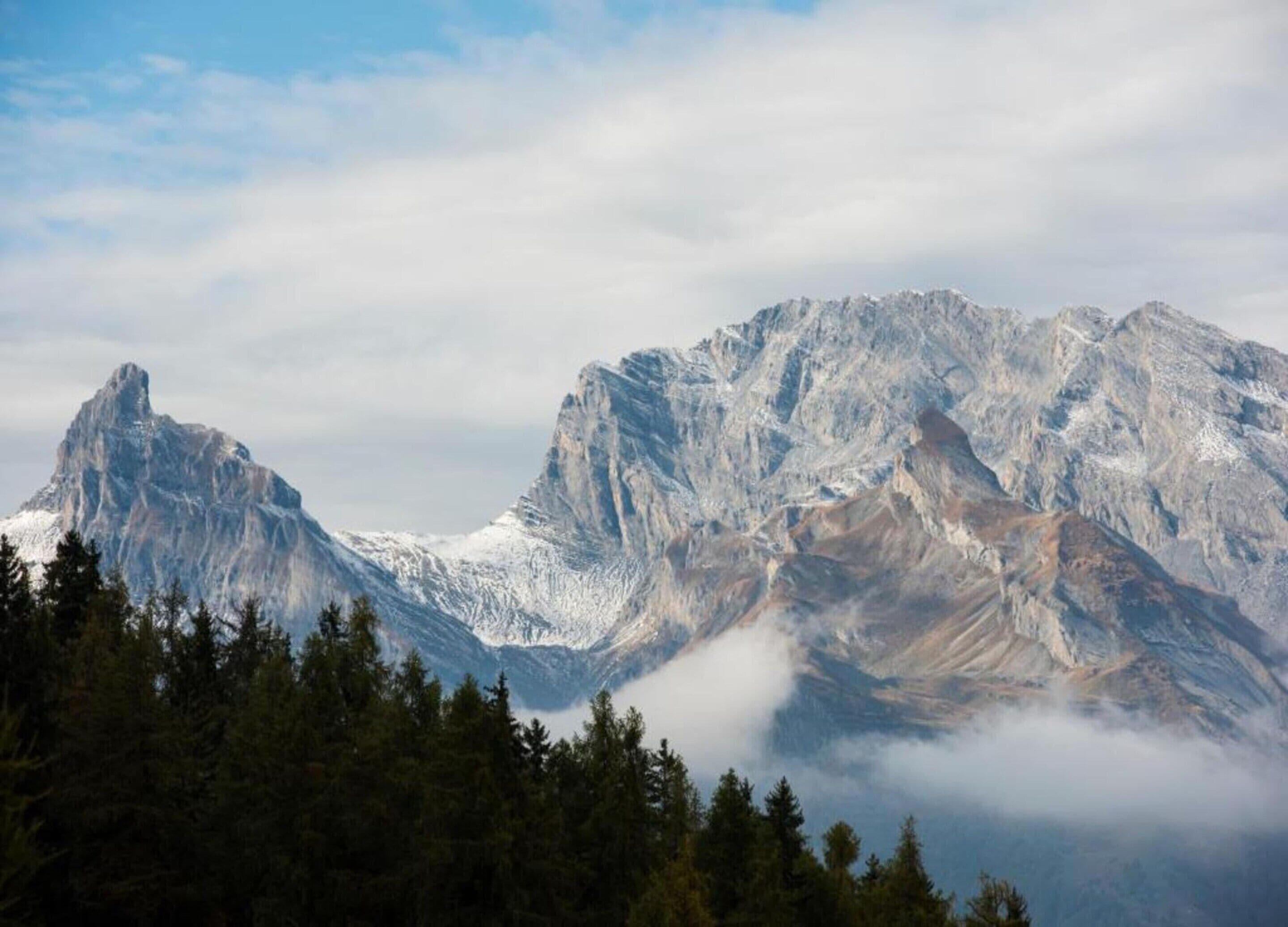 Paisaje montañoso con picos nevados y un primer plano arbolado.