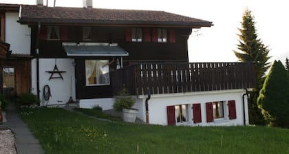 Gorgeous Apartment in Obersaxen With Private Terrace
