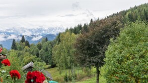 Paisagem rural com uma pequena casa de madeira, um muro de pedra e montanhas ao fundo.