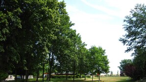 A park with trees, grass, and a few benches. - Cozy Cottage in Barvaux-Condroz near Forest (Havelange)