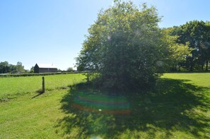 Chalet | View from property - Scenic Chalet in Ovifat (Waimes)