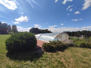 Une serre dotée d’une toiture transparente, entourée de verdure et s’ouvrant sur un ciel dégagé.