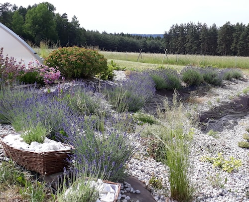Country House in Czech Forest With Pool