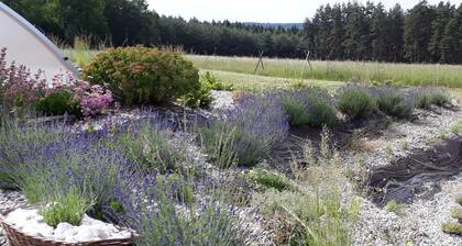 Country House in Czech Forest With Pool